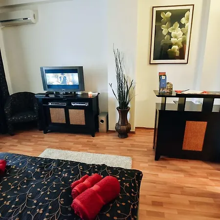 Apartment Nottara Vintage Studio