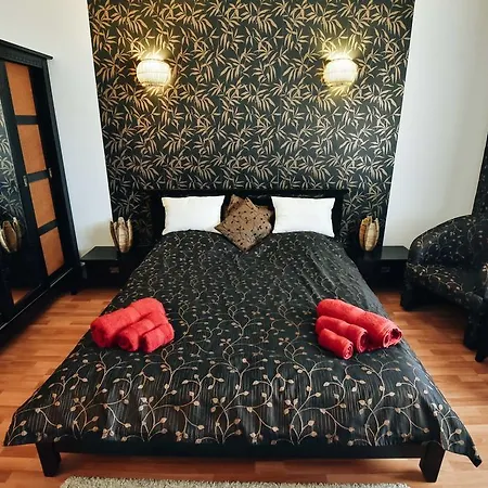 Nottara Vintage Studio Apartment Bucharest